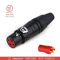 YM010BG