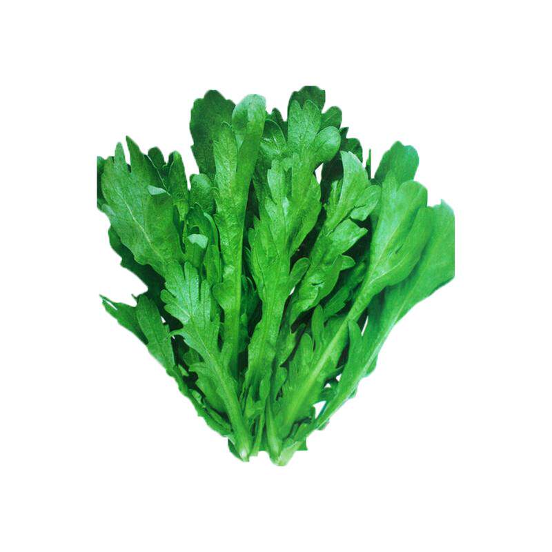 皇帝菜中叶茼蒿种子青菜种籽春菊菜种农家菜籽阳台籽种四季蔬菜孑