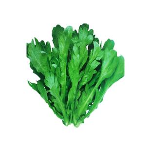 皇帝菜中叶茼蒿种子青菜种籽春菊菜种农家菜籽阳台籽种四季蔬菜孑