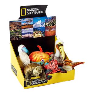 国家地理毛绒玩具加拉帕戈斯系列蝙蝠象龟鹈鹕螃蟹礼物生日儿童