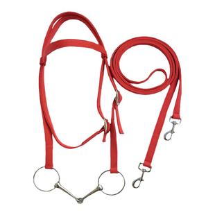 加厚耐用水勒衔铁缰绳嚼子骑马/调控缰绳笼头笼套