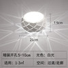 （Concealed）LED5 white light φ21cm