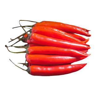 朝天椒苗子苗籽辣椒苗小米辣小米椒树树苗南方盆栽蔬菜菜苗孑秧苗