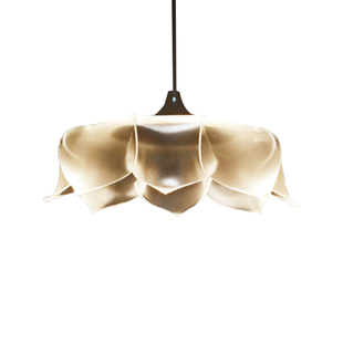 台湾艾舍人华盖佛堂中式莲花客厅吊灯餐厅书房卧室玄关LED佛堂灯