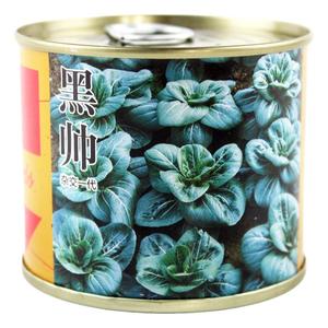 黑帅青菜种黑金青梗菜种子秋季蔬菜四季种籽高产油菜菜种南方籽种