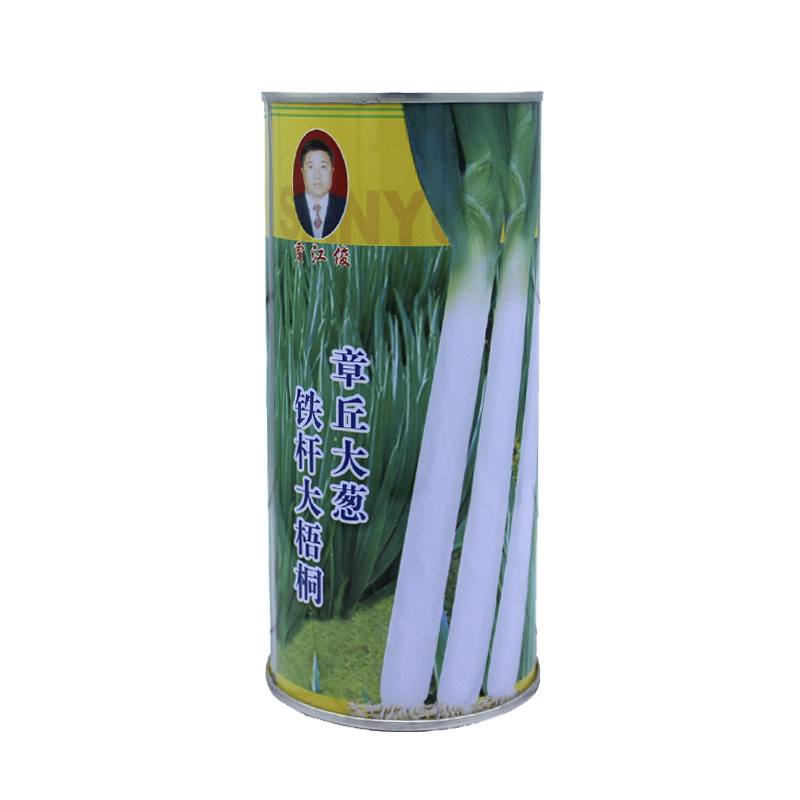 山东铁杆梧桐章丘四季大葱种子