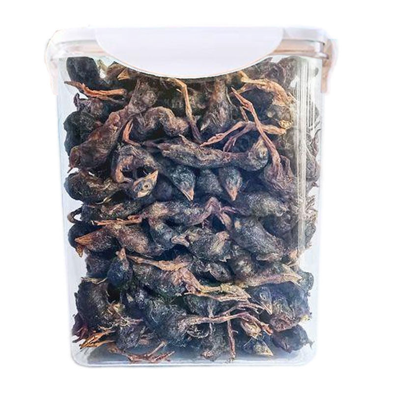 弗瑞诗增肥发腮猫零食补钙小鹌鹑