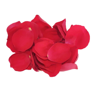 新鲜大玫瑰 玫瑰花 月季花瓣可食用花酒店西餐摆盘装饰点缀约80片