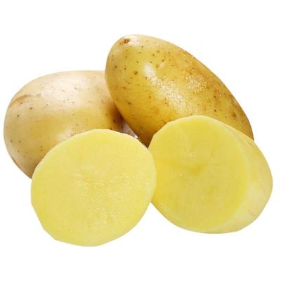 产地直发炸薯片专用土豆云薯304