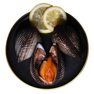 大连海鲜超大鲜活赤贝新鲜毛蚶血蛤蜊赤贝肉日料刺身即食3斤装