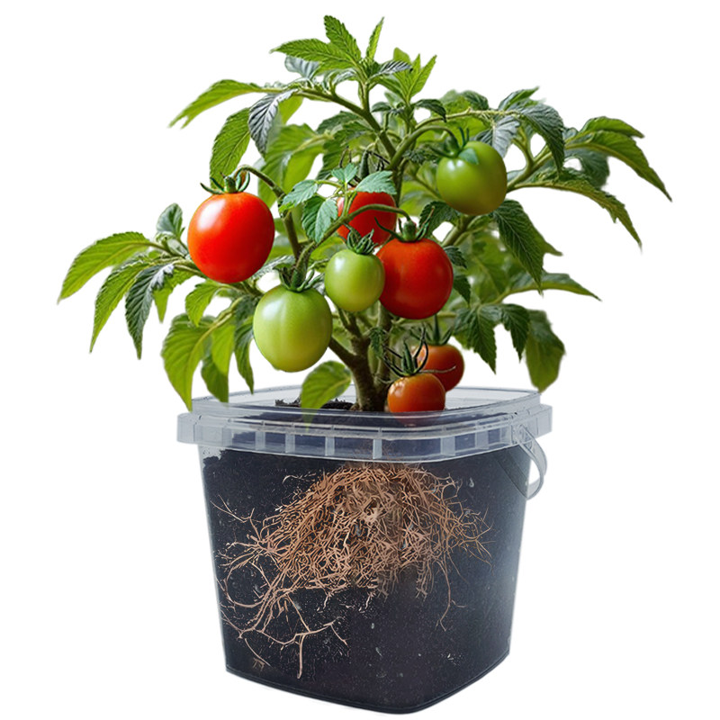 diy创意小学生 自动吸水懒人花盆植物生长观察儿童种植盲盒小盆栽