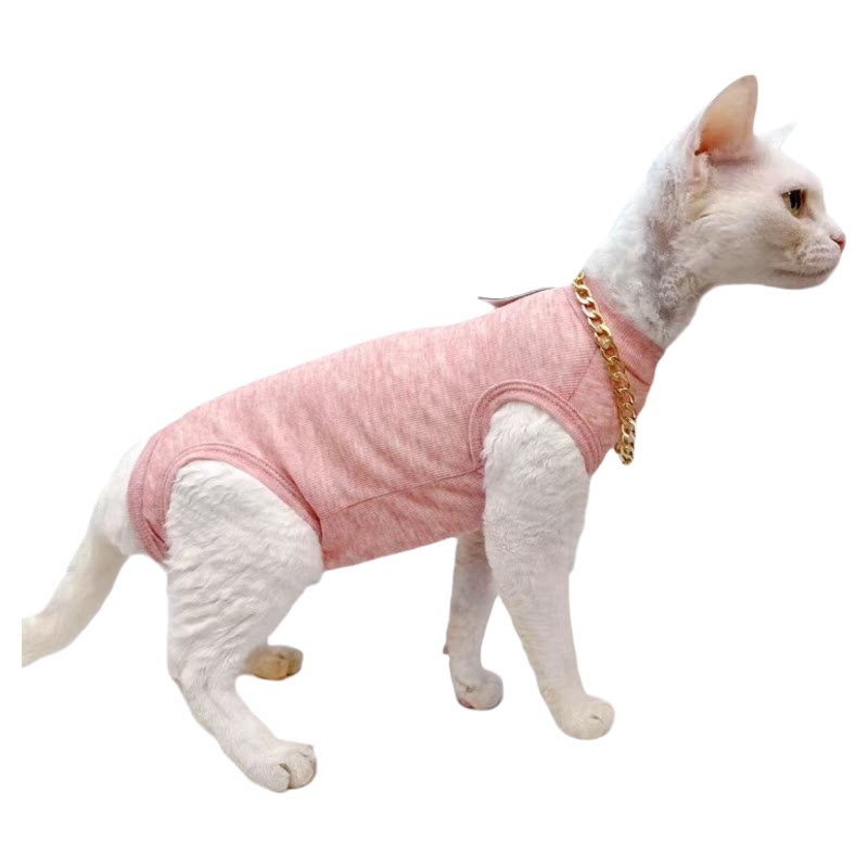 咔啦咪斯芬克斯无毛德文宠物猫衣服四脚护肚薄款飘带弹力透气天丝