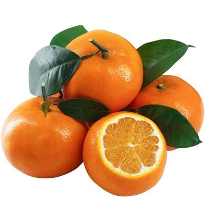 广西武鸣沃柑薄皮柑橘子现摘5斤新鲜桔子水果当季果冻橙大果爆汁
