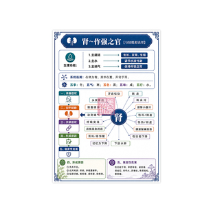 中医养生教学图谱五脏六腑基础知识科普图健康管理培训宣教塑封图