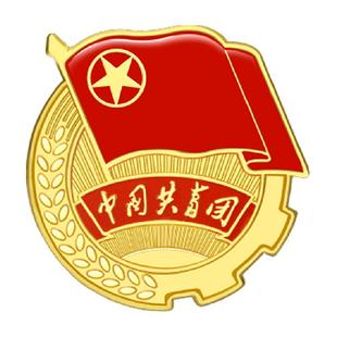 优和共青团团徽标准别针小磁扣强磁学生团员适用团徽老师推荐学校