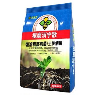 根腐消宁散大蒜根腐黄叶死棵烂苗辣椒番茄克星以菌抑菌微生物菌剂
