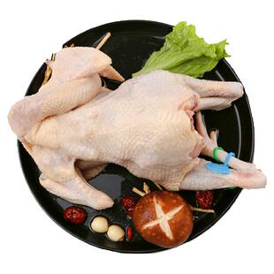 王明公 正宗农家散养老母鸡走地鸡新鲜土鸡整只净重850克-950克