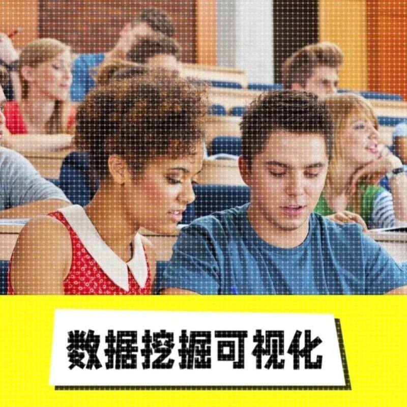 数据分析可视化python代做pandas数据挖掘 sas 微宏观经济 weka代