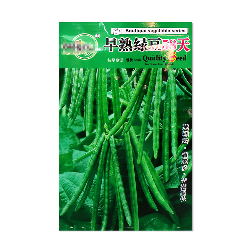 中研盛优早熟绿豆58天绿豆种子