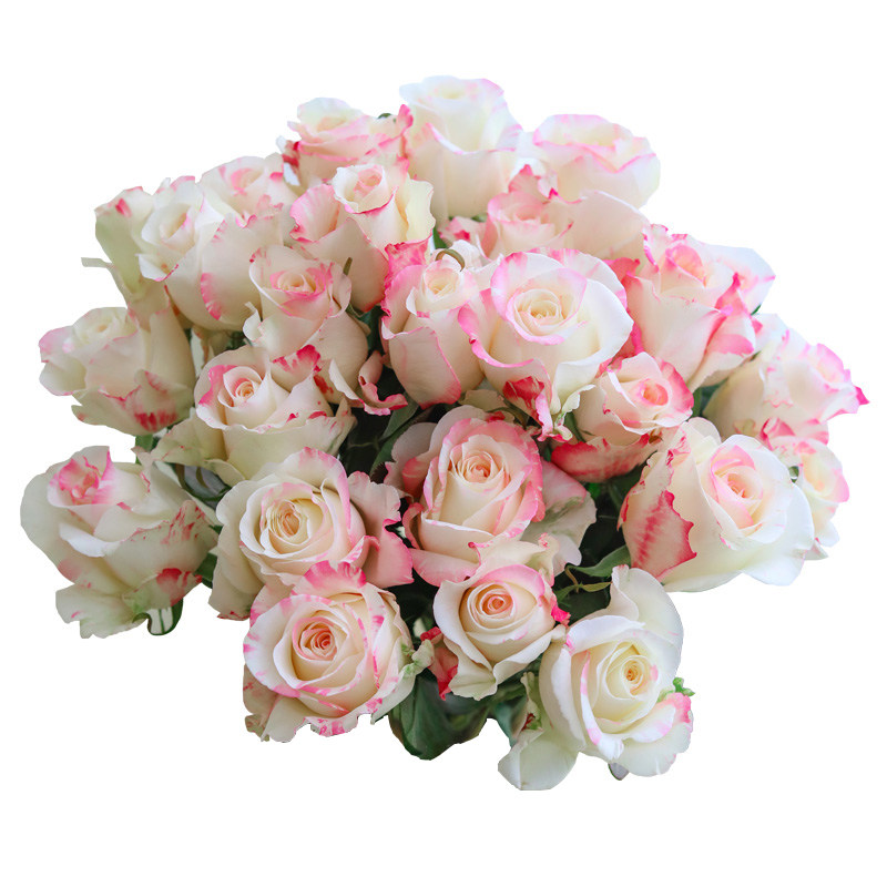 花卉水养如意顺丰包邮生日