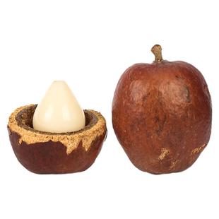 佛心果原籽老果大果精品菩提果原料果粉色黄红皮手串把件挂坠项链