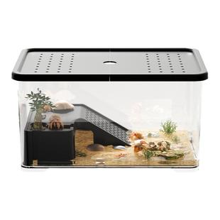寄居蟹饲养箱套装小型桌面爬宠盒相守蟹螃蟹生态养殖箱乌龟饲养缸