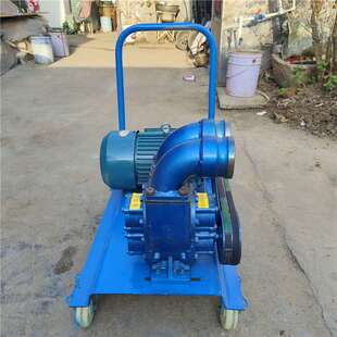 抽粪泵养殖场抽粪机 直吸直排污水泵 380V三相离心排污淤泥浆泵
