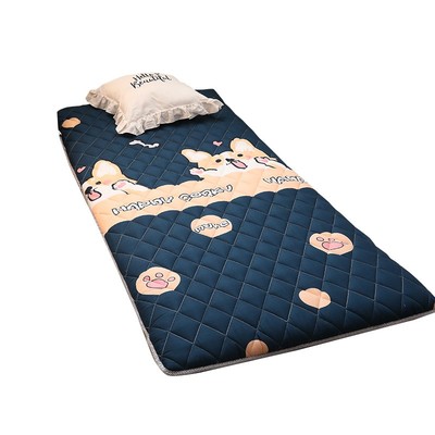 【地铺专用】加厚床垫软垫地垫