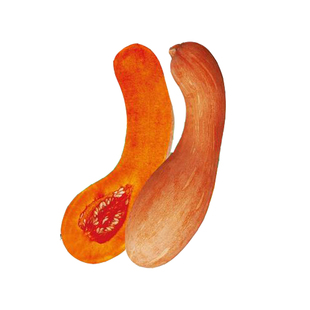 【金钩南瓜种子】耐热抗寒中熟老瓜味甜奇花异果菜园田地蔬菜种子