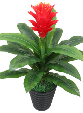盆栽落地大型牡丹塑料仿真植物