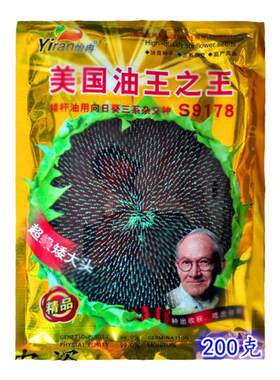 美国超级矮大头油葵向日葵葵花籽