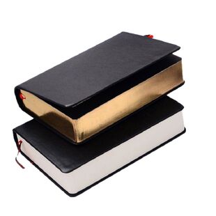 Believe仿皮A6小号笔记本空白素描本加厚复古记事本学生日记本子