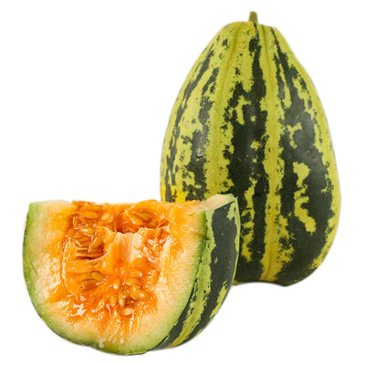 冰糖品种甜瓜四季蔬菜北方秧苗