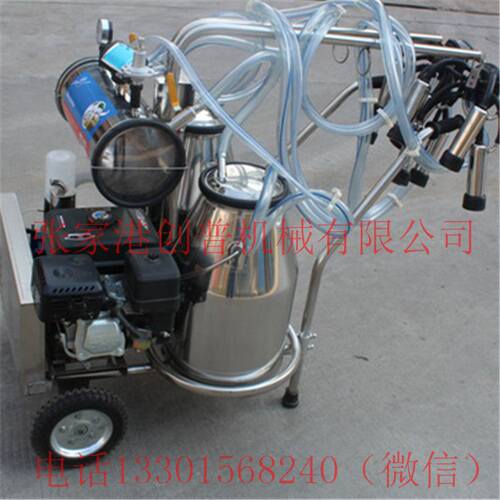 移动式自动挤奶机 汽油动力双缸奶牛挤奶器 单桶奶牛吸奶器 厂家