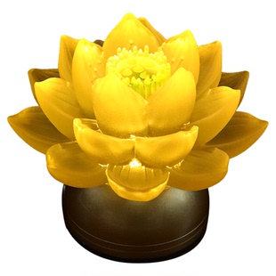 跳舞灯灯舞道具五星出东方野性的呼唤跳舞道具荷花灯宫灯舞台道具