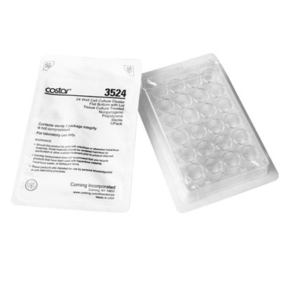 corning规格齐全光学透明