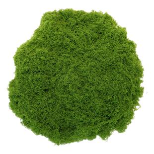 仿真青苔草皮仿生人造假苔藓微景观布置摆件草坪盆景盆栽装饰造景