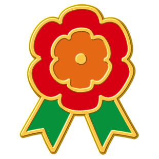 海洛迪送你一朵小红花奖牌校园师生励志奖励金属胸针徽章学生礼物