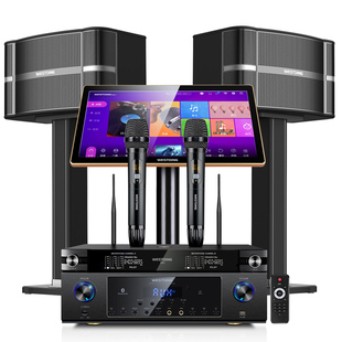 2025新款私人影音ktv音响套装卡拉OK全套音箱组合家用影院点歌机