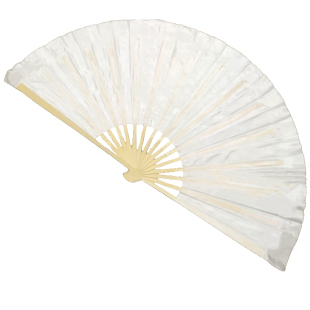 象王行纸扇书生扇子舞蹈扇北京舞蹈学院古典舞中国舞跳舞白扇子