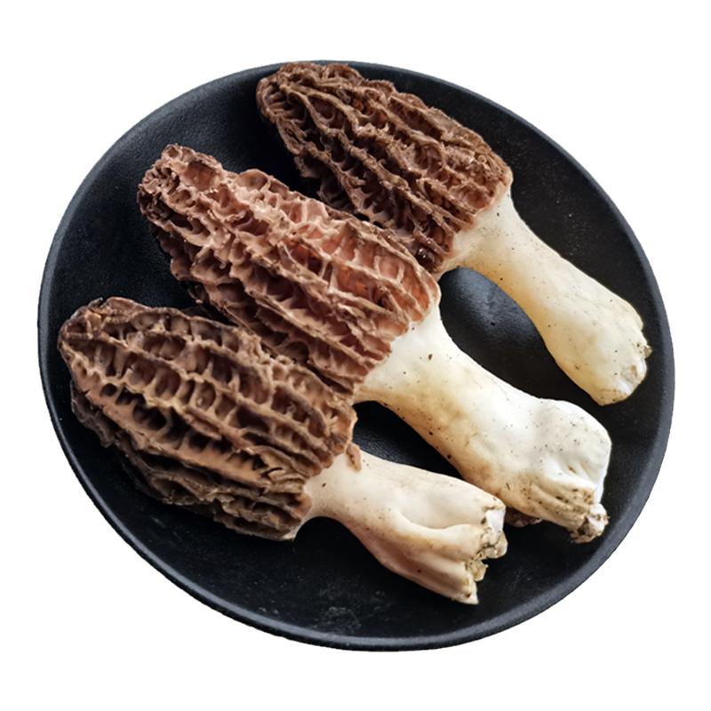 云南新鲜采摘羊肚菌仿野生蘑菇