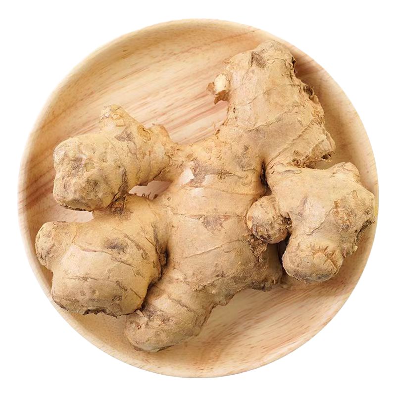 有機(jī)生姜新鮮現(xiàn)挖風(fēng)干姜山東大黃姜月子姜老姜農(nóng)家健康無農(nóng)殘蔬菜