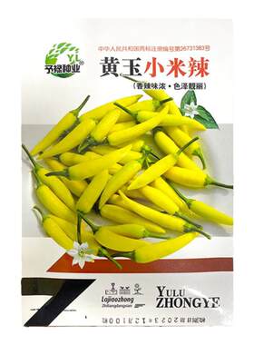 香辣小米椒种子四季高产辣朝天椒