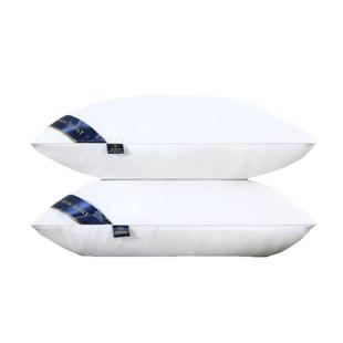 酒店同款枕头一对装护颈椎枕芯带枕套家用男女软枕睡眠羽丝绒水洗
