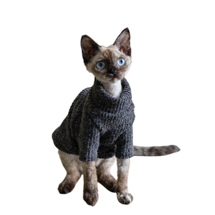 GINGERAIN 无毛猫衣服德文猫外套保暖秋冬耐脏肌理感温暖毛衣