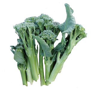 新鲜西兰苔湖北农家露天种植甜杆西兰花手指西兰花兰花苔蔬菜现摘