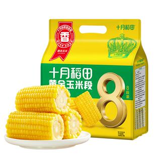 十月稻田非转基因黄金玉米段黄糯玉米东北黏糯玉米低脂早餐