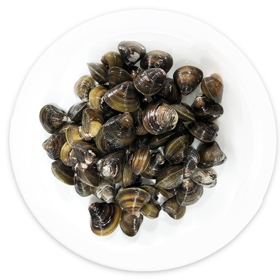 鲜活贝类黄蚬子3斤包邮