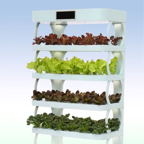 无土栽培家用办公室内水耕水培多肉花卉香草莓育苗神器智能种菜机