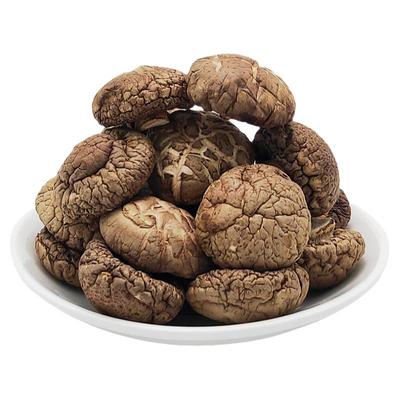 椴木香菇干货500g净重野生菌菇